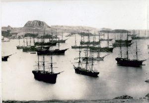 Fleet of ships off Chincha Islands